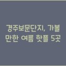 단지 이미지