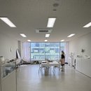 메르세리아