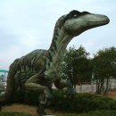 벨로시랩터 | [전남] 해남 우항리 공룡 · 익룡 · 새발자국 화석산지 … 천연기념물 제394호