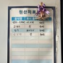 순자네 홍두깨 손칼국수 이미지