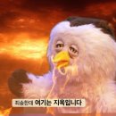 270-3515 | 베트남 나트랑 시내 여성용품 탐폰 구매 / 대자연은 막을 수 없다