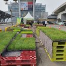 나무유통 이미지