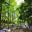 강산타운 이미지