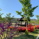 고포수변공원 | [하동 여행]고포수변공원캠핑장_A사이트 7번데크 #내돈내산 (4.14~15)
