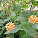 재만농장 이미지