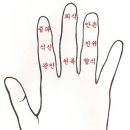 안주당 - 동대문구 황물로 168 | 안주당