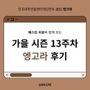 베스트올 신곡신일점 | [가을 시즌 13주차 엥고라 후기]with 베스트리뷰🎖️