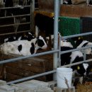 성상2리 마을회관 이미지