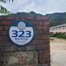임계초 문래분교장 티스토리