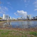 운천저수지 이미지