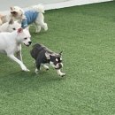 멍더캐슬 이미지