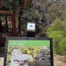 옛죽마고우 | 추사의 詩境(4)--북한산 중흥사, 부왕사, 산영루(山映樓)에서