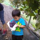 석호농원 이미지