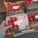 우리청과마트 이미지