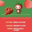 옹진공예협동조합 이미지