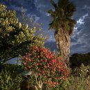 아끈두베 이미지