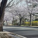 구암동541 이미지