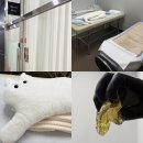 풀로진 | 일산 슈가링왁싱 유어브로우 앤 왁싱에서 브라질리언 받은 후기