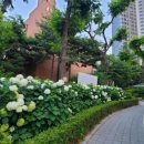 작은막공원 이미지