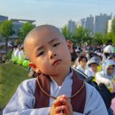 2019 부산 연등축제및 행렬 이미지