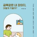 안녕, 내강아지 이미지