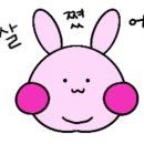노리케이크 이미지