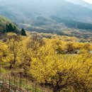 서정마을회관 이미지