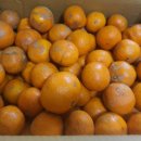 야베스하우스 이미지