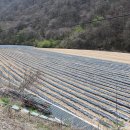 한태농장 이미지