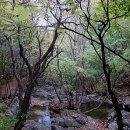 소백산자락길 제4코스 이미지