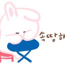 미&미치과 네이버블로그