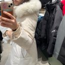 영크리닝 | 블랙야크 WSP 히마 미드다운 구매후기 20대여자패딩추천