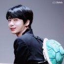 바니바니 이미지