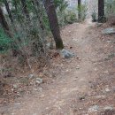 장군산길 이미지