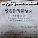 정종합동물병원 이미지