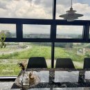 피노펠리즈 이미지