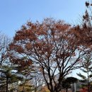 박경리근린공원 이미지