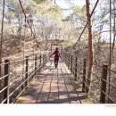 외씨버선길(오일도시인의길) 이미지