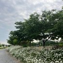 에버스트리트2 이미지