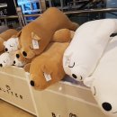 만년상회 이미지