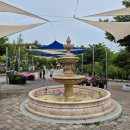 용인 자작나무숲, 한적한 시골에 숨겨진 이국적인 산책코스 (+꽃구경, 폭포)