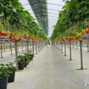 예당농장 이미지