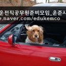 원서건승 이미지