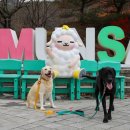 양평역 종합관광안내소 이미지