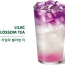 블라썸티 이미지