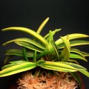 비천농장 이미지