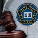 "내 손길 뿌리쳐" 8살 여아 때려 실신시키고 경찰까지 폭행한 50대…'집행유예' 이미지