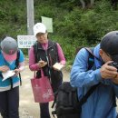 포천 광덕산 야생화 천국-( 명지산,연인산,또는 화악산 산행예정일에 별도산행가능 참조바람) 이미지