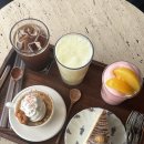 고솜(Go Some) 이미지