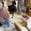 (주)집사의 하루 이미지